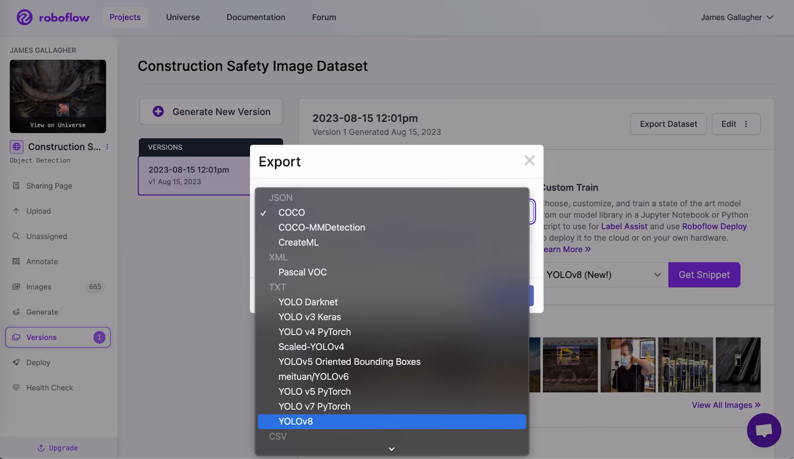 Roboflow dataset export to YOLO format
