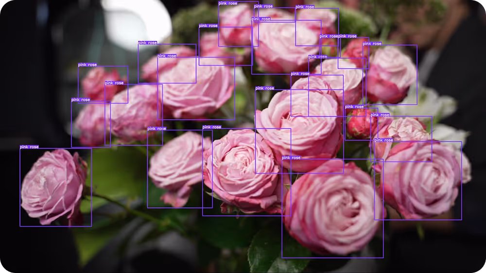An example of detecting objects using computer vision