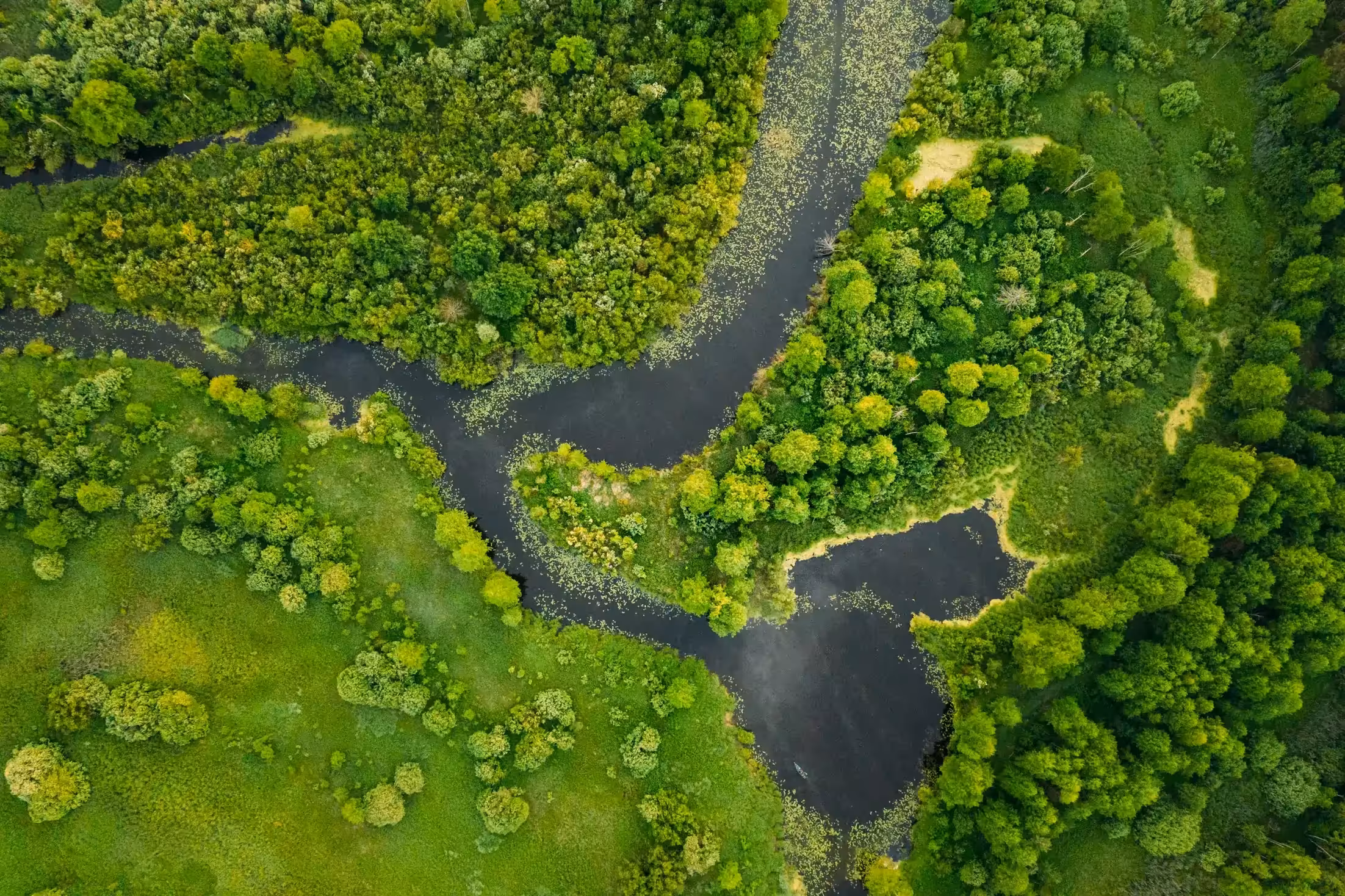 環境モニタリングのためにプラスチック廃棄物を検知するYOLO11の使用