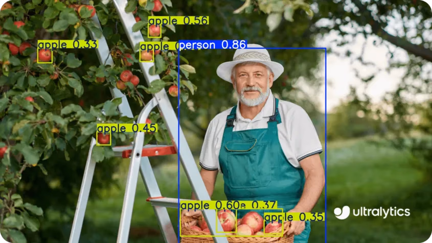 Nesne tespiti için YOLO11 kullanımına bir örnek