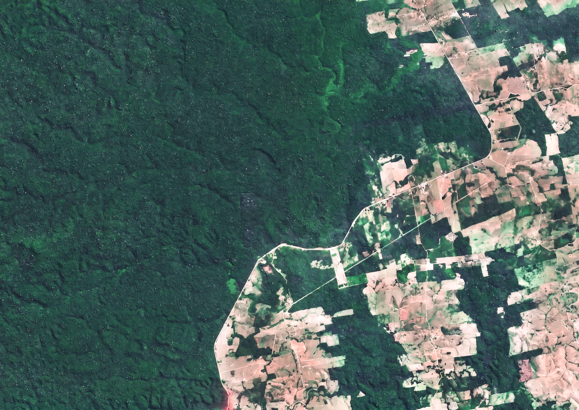 Satellite imagery showcasing both a forest and a city