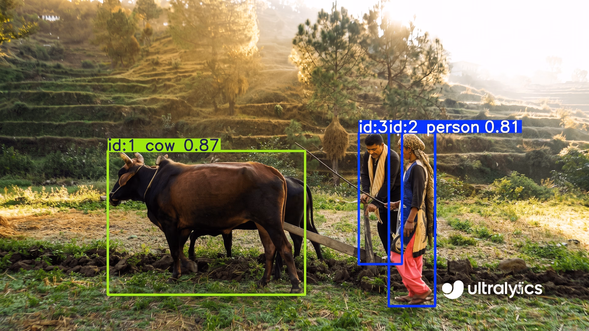 Using Ultralytics YOLO11 to track farmers and a cow