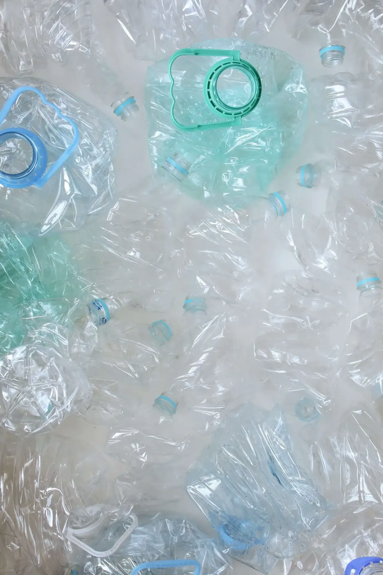 AIゴミ分別のためにYOLOv8を使用するTrashBestieアプリ