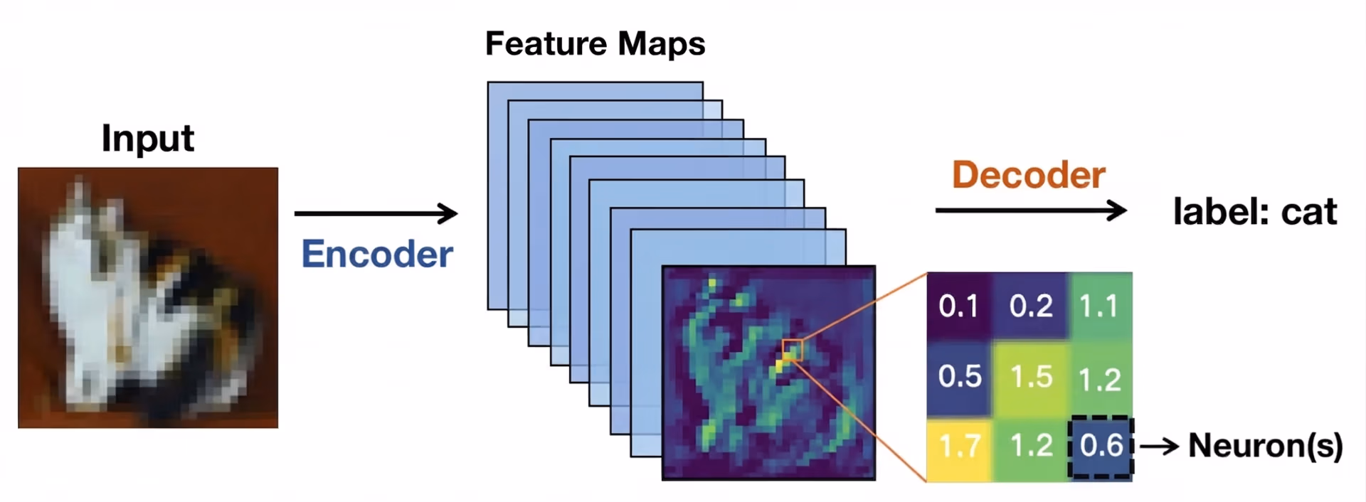 Feature maps representing visual patterns in an image