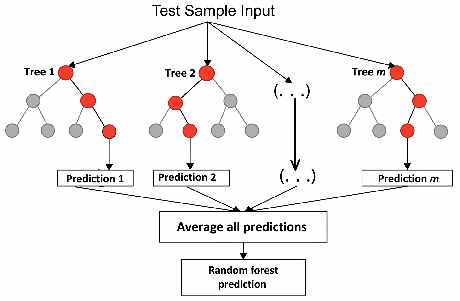A look at the Random Forest algorithm