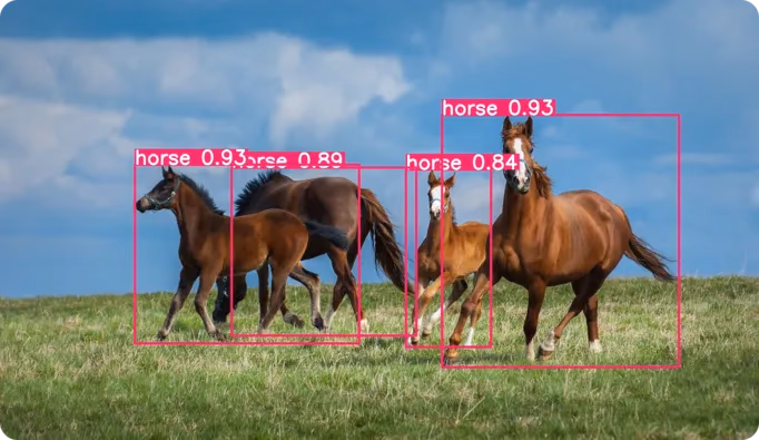 Un esempio dell'utilizzo di YOLO26 per rilevare oggetti in un'immagine