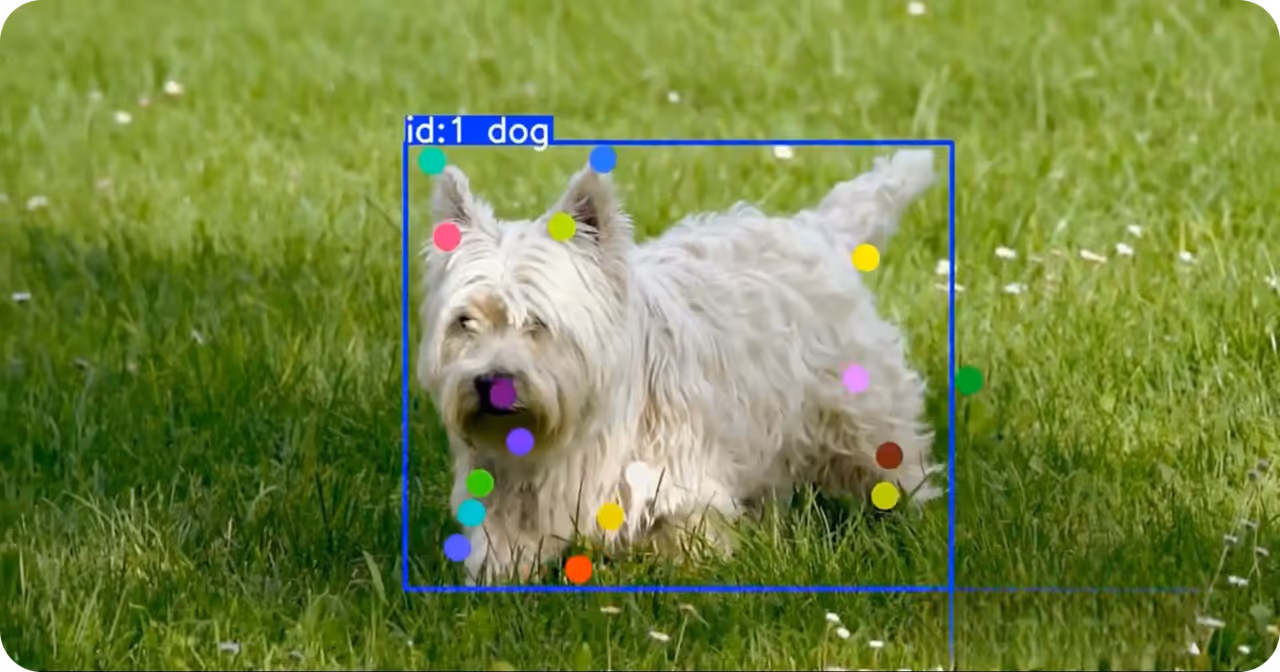 Computer vision can help with various vision tasks