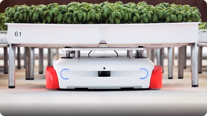 Un robot autonome dans une ferme hydroponique déplaçant des plateaux de plantes
