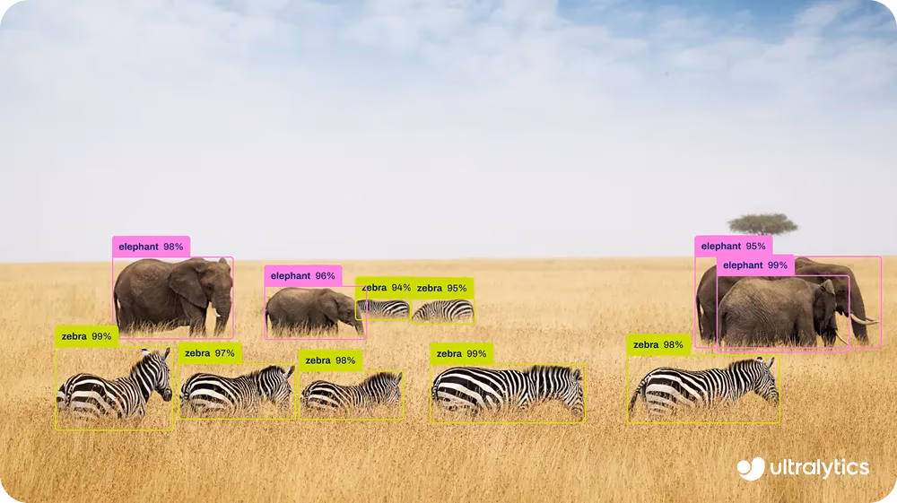 Ultralytics YOLO26 للكشف عن الأشياء