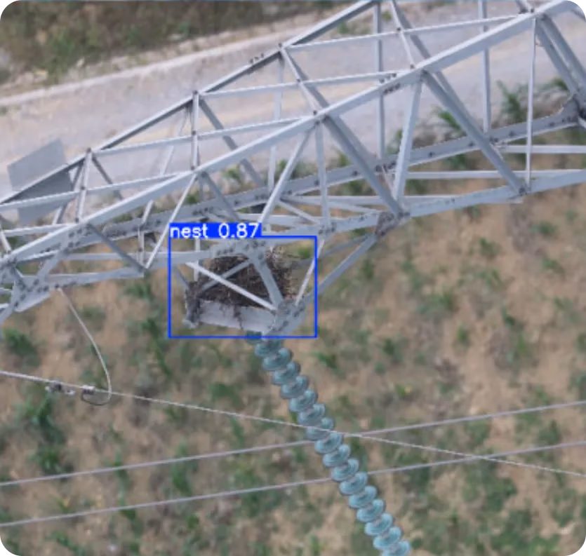 Un modello di computer vision che identifica un nido di uccelli su una torre di trasmissione