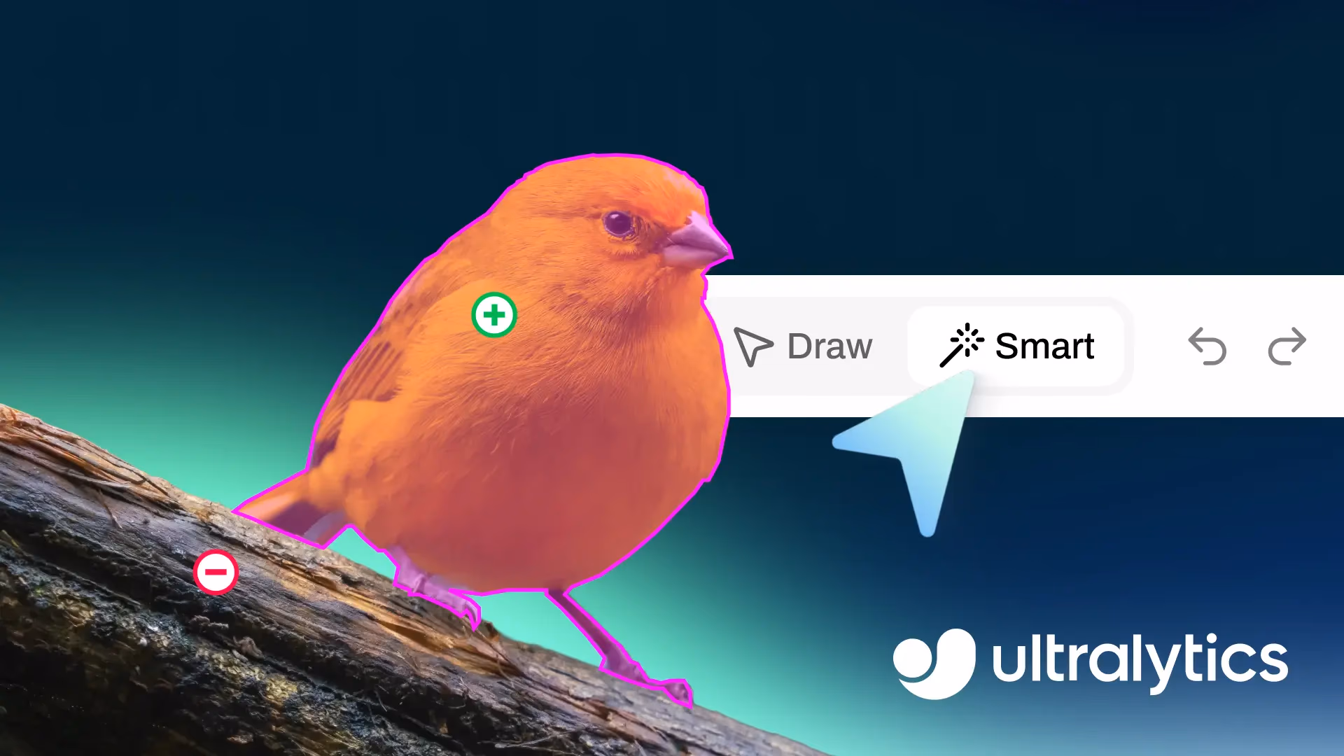 Image annotation editor in the Ultralytics Platform
