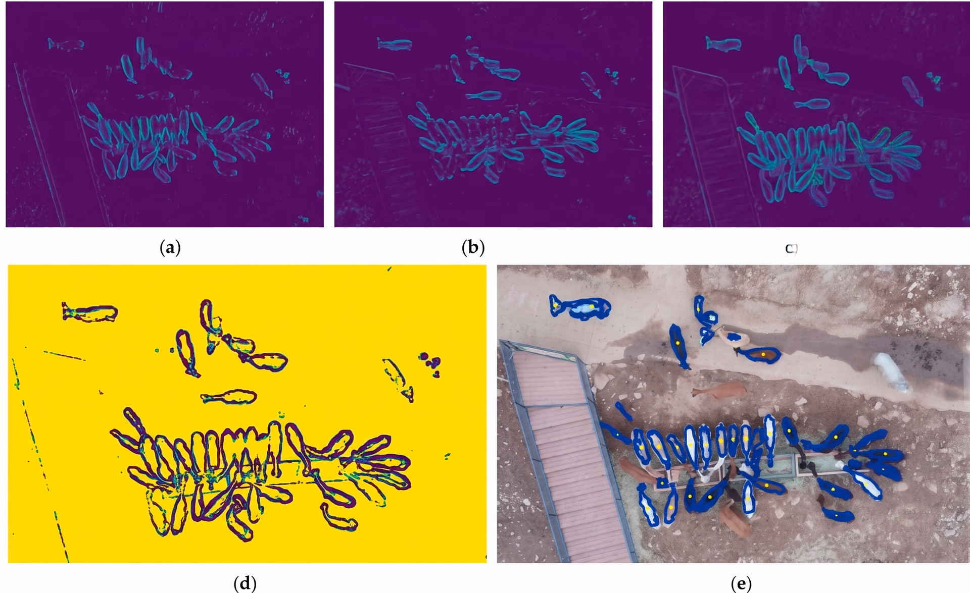 Image processing used to detect animals for livestock counting