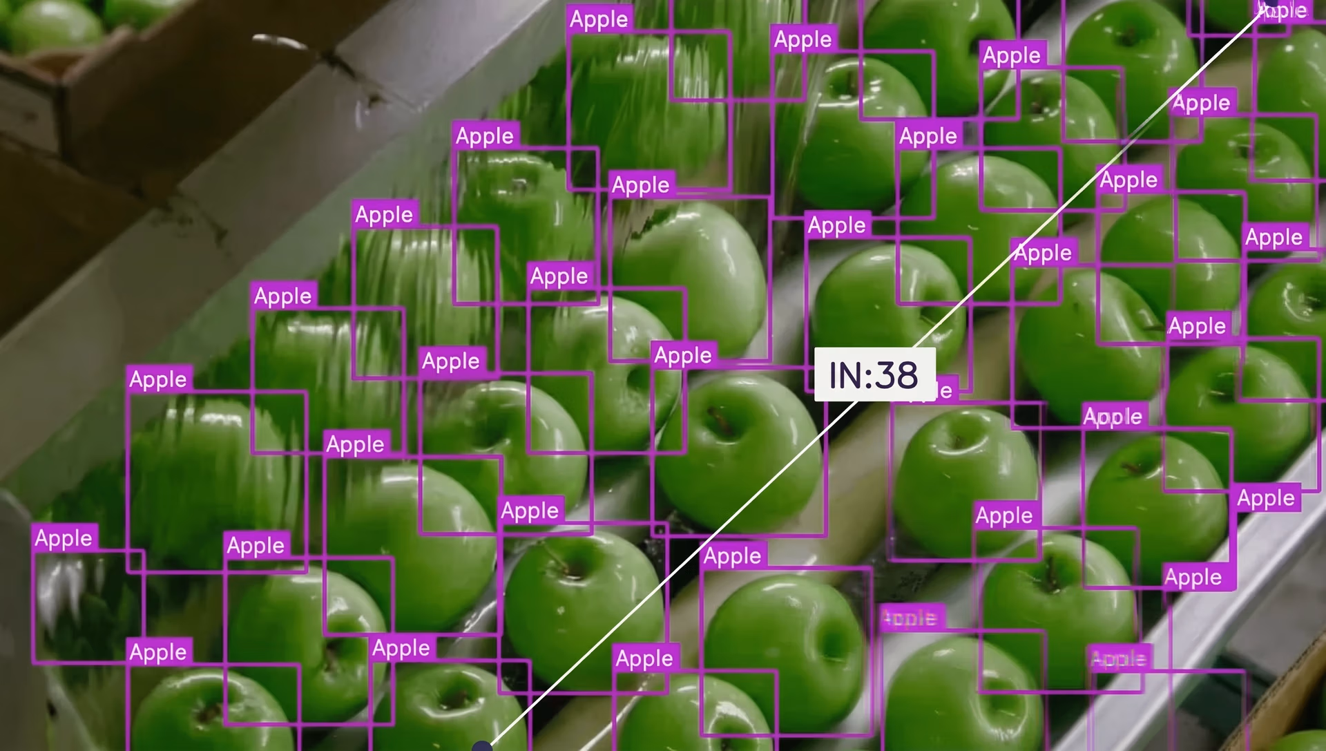 Green apples on an assembly line detected by YOLO