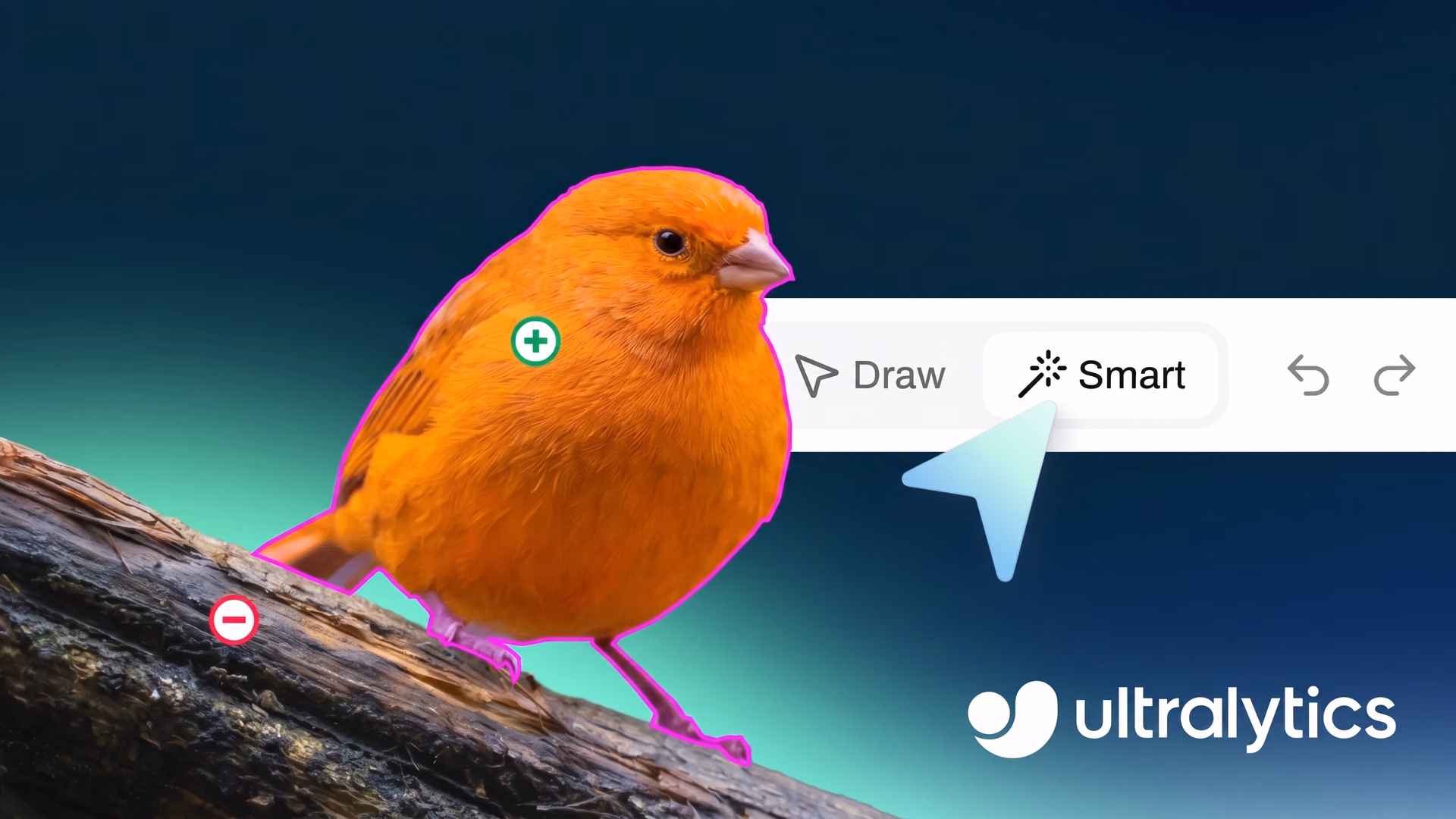 Éditeur d'annotation d'images dans la Ultralytics Platform