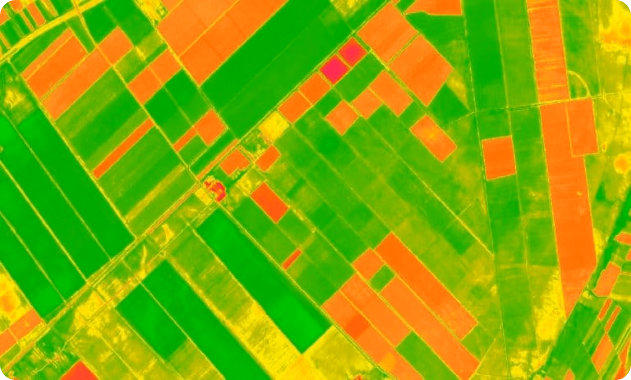 Immagine satellitare della produzione di mais con la vegetazione più sana mostrata in modo più luminoso
