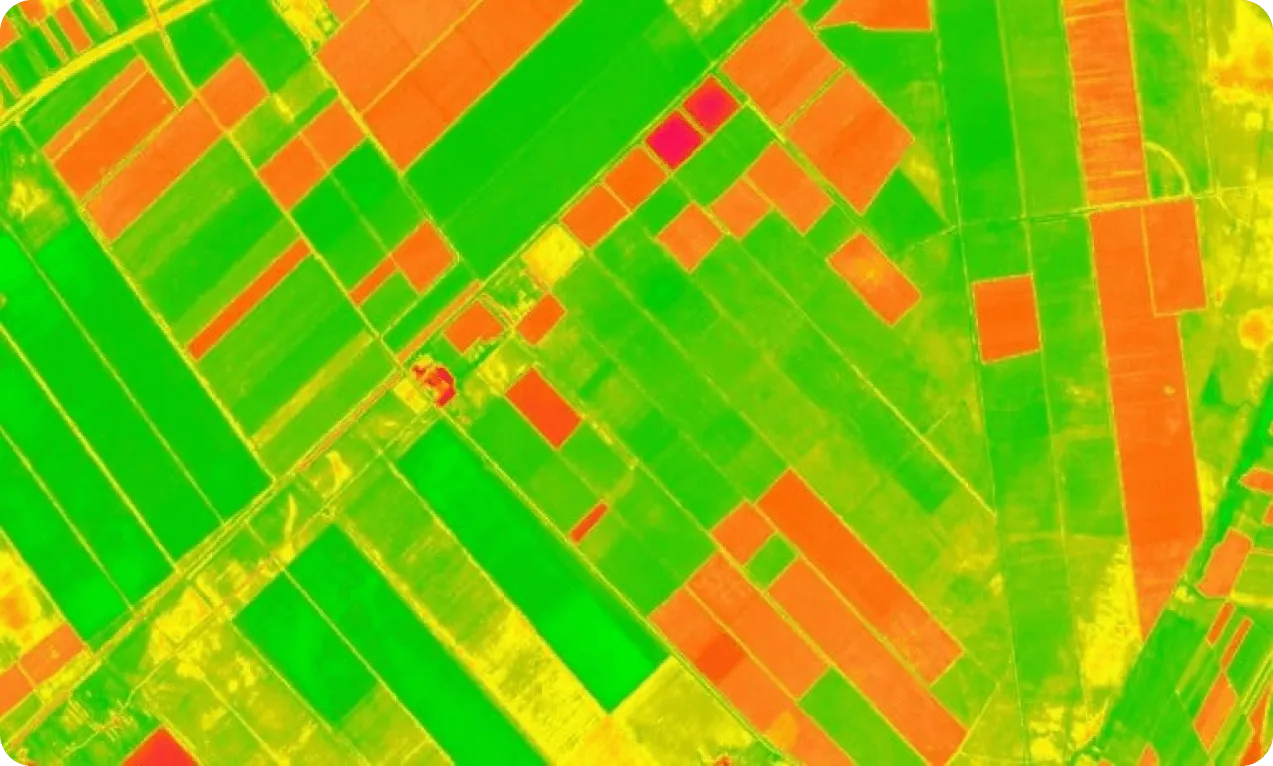 Imagem de satélite da produção de milho com vegetação mais saudável exibida com mais brilho