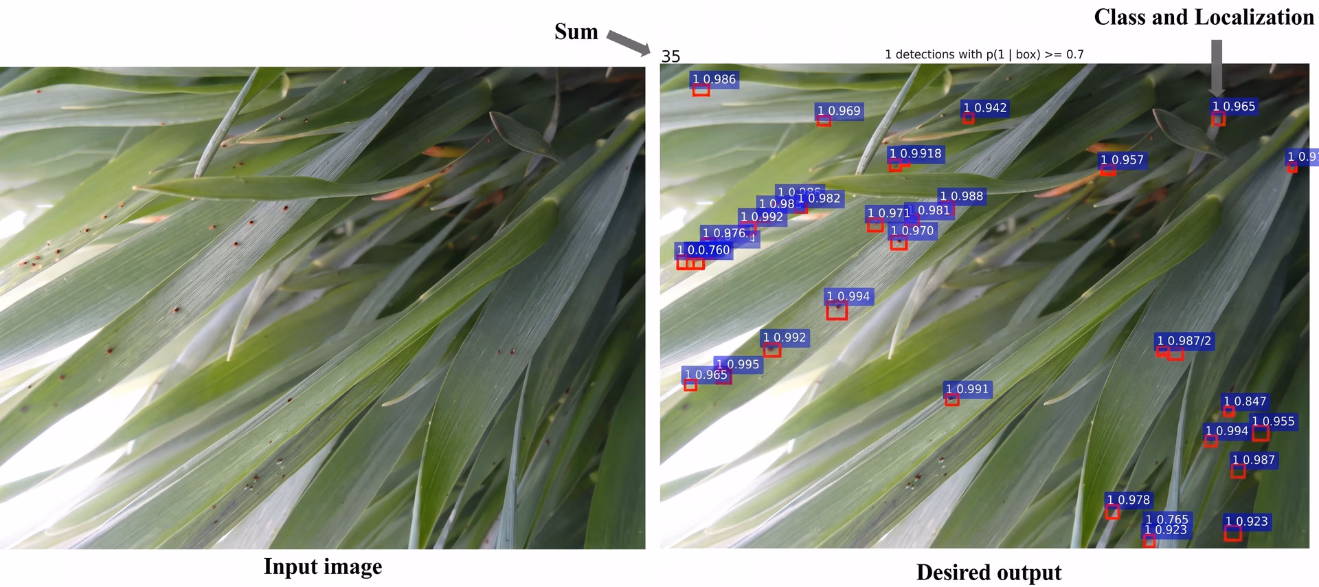 Computer vision identifying pests difficult to spot with the naked eye