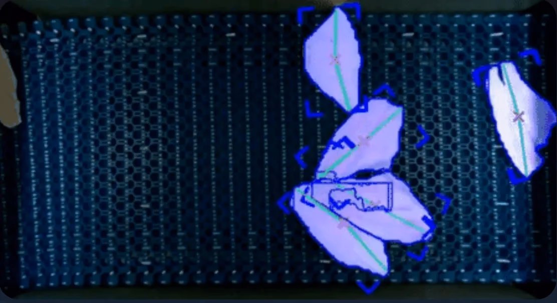Fig 1. Overlapping fish being detected precisely by Ultralytics YOLO