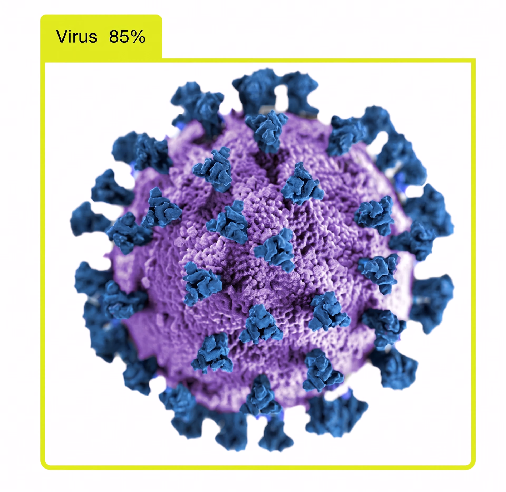 Virus Detection