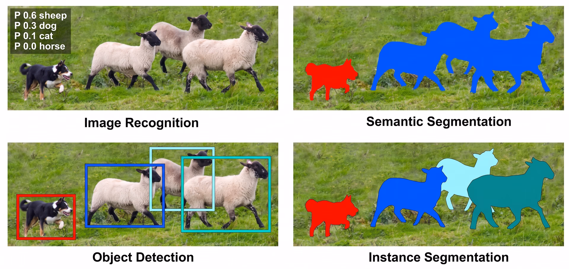 Comparison of computer vision tasks like classification, detection, and segmentation
