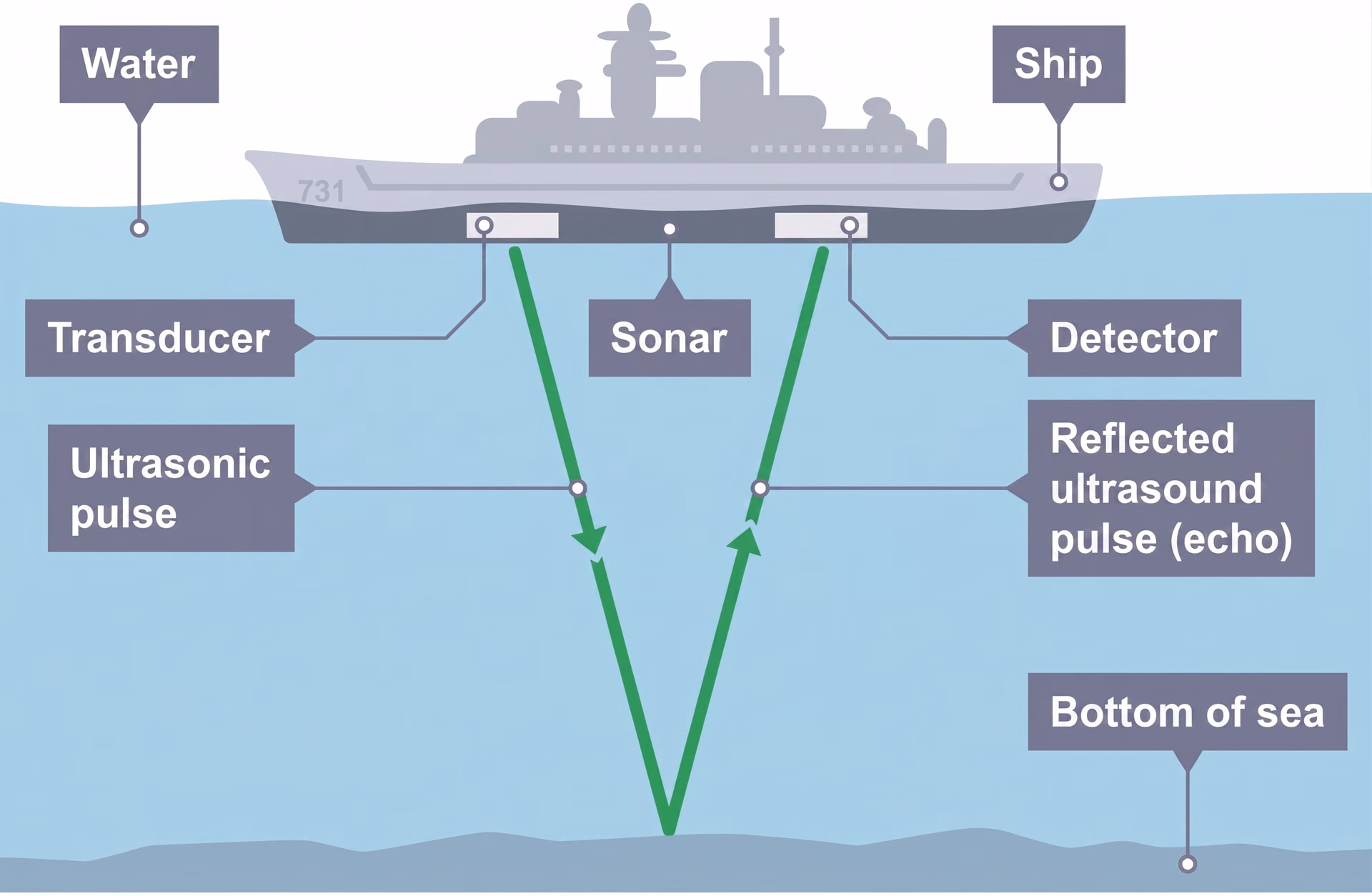 How a sonar system uses ultrasound pulses to measure sea depth