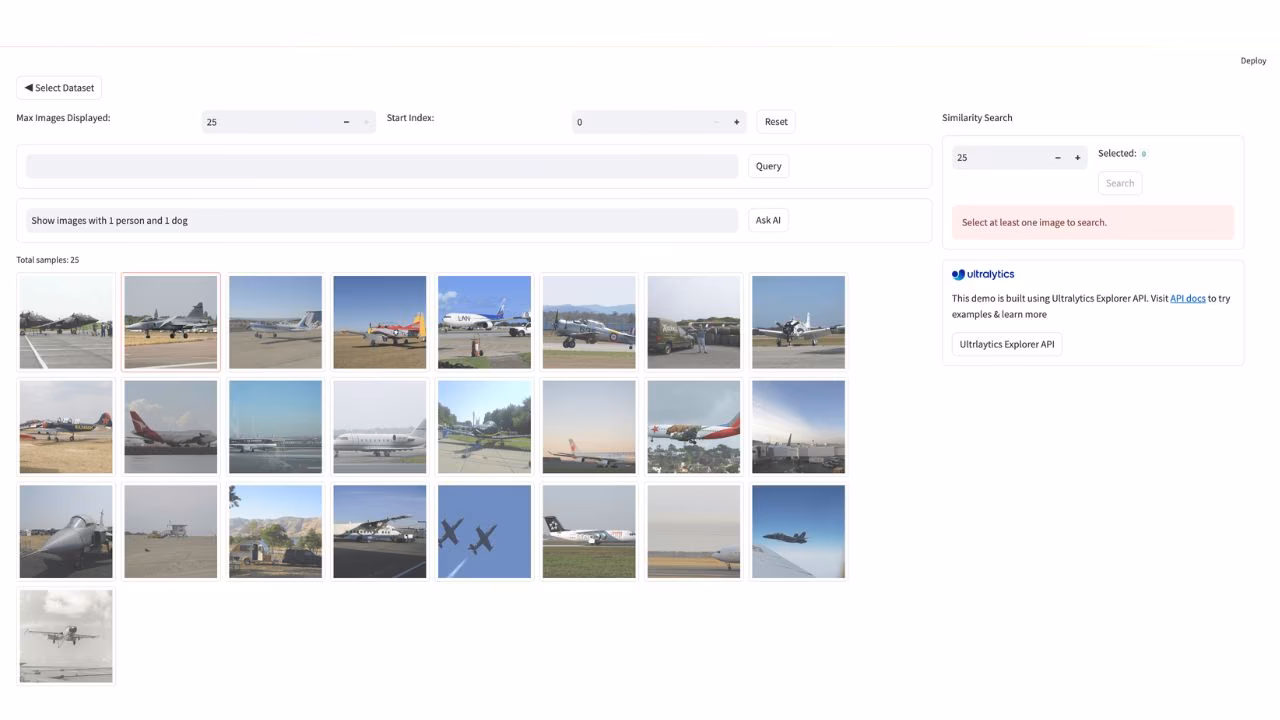 Ultralytics Explorer semantic similarity search