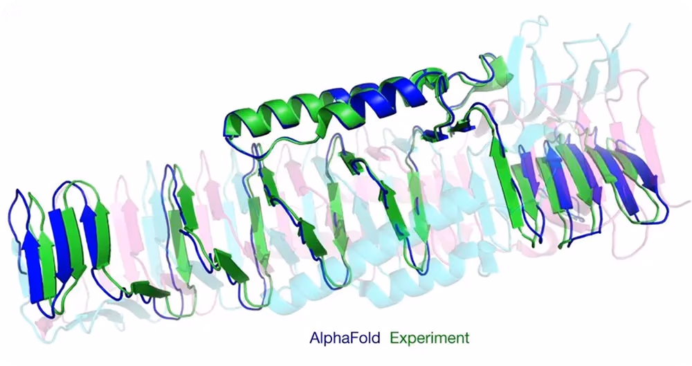 Prédiction de la structure 3D d'une protéine utilisant AlphaFold