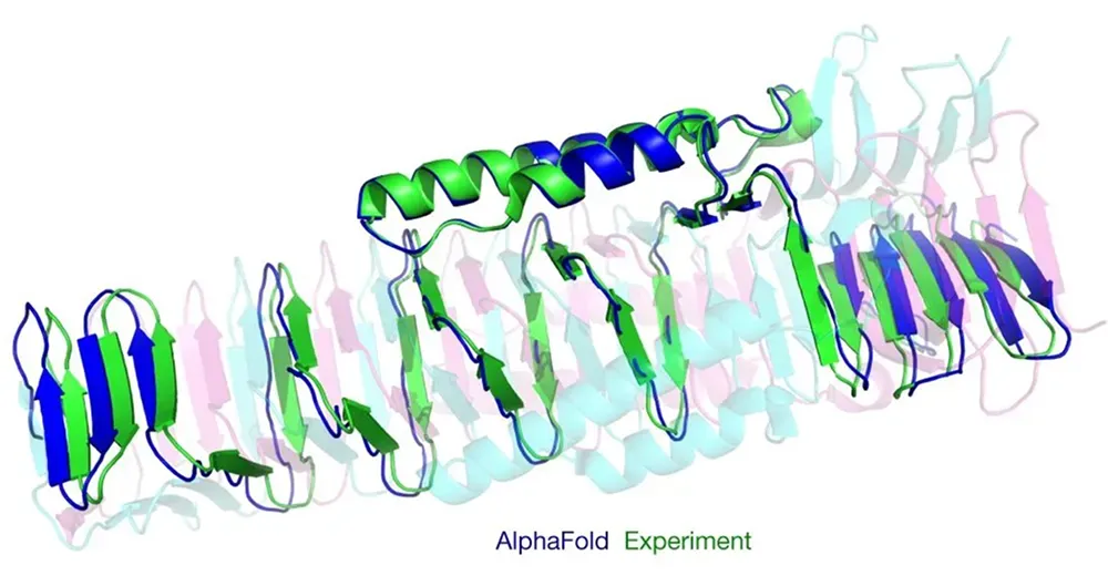 Predizione della struttura 3D di una proteina utilizzando AlphaFold