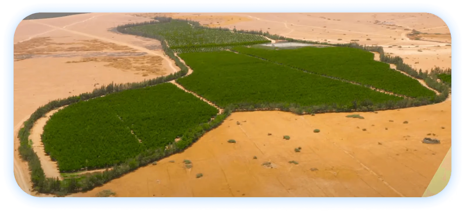Trang trại cam quýt tại Morocco được SOWIT triển khai thực hiện