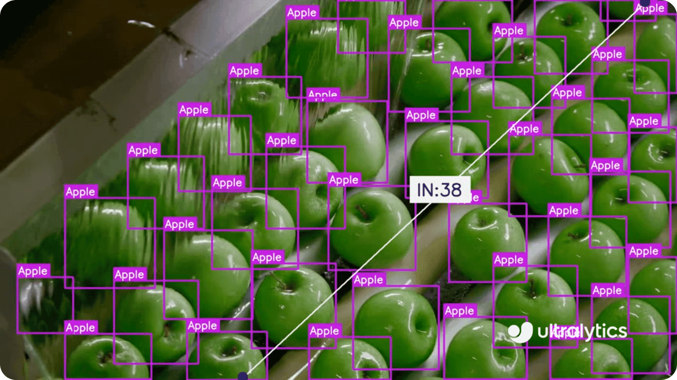 YOLO11 detectando y estimando el rendimiento de manzanas verdes