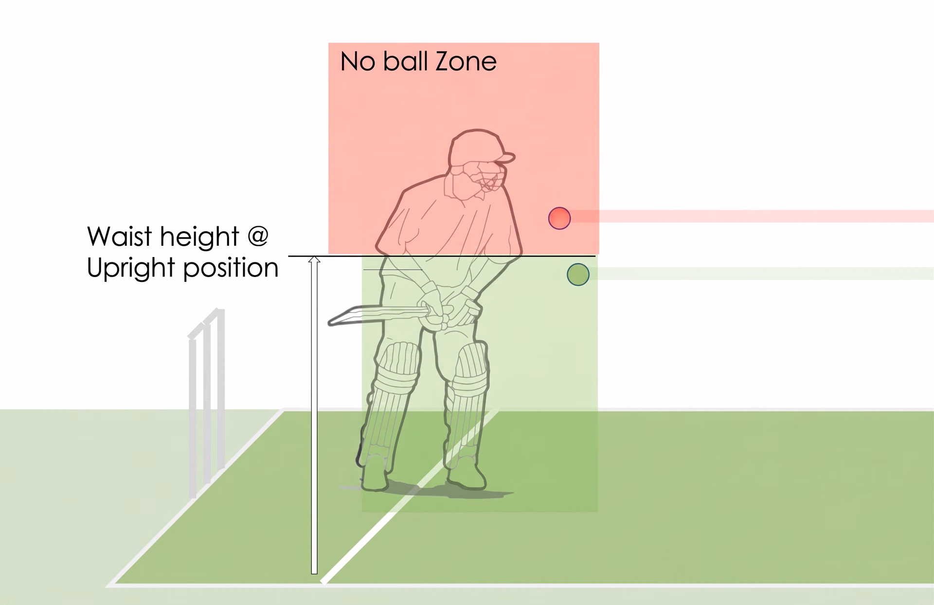 Understanding what a waist-high no-ball is