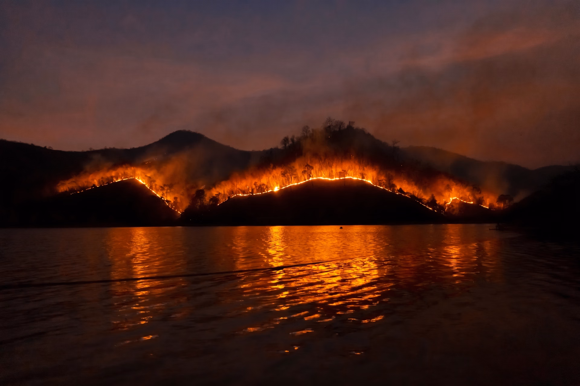 An image of a wildfire