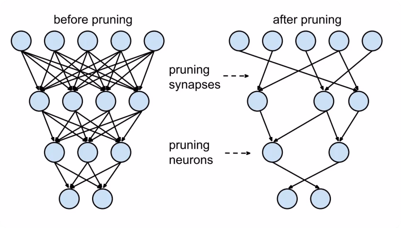 Rede neural antes e depois da poda de modelos