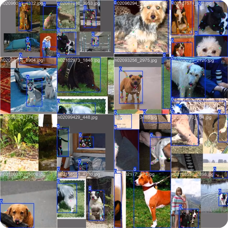 Una panoramica del Dog-Pose Dataset