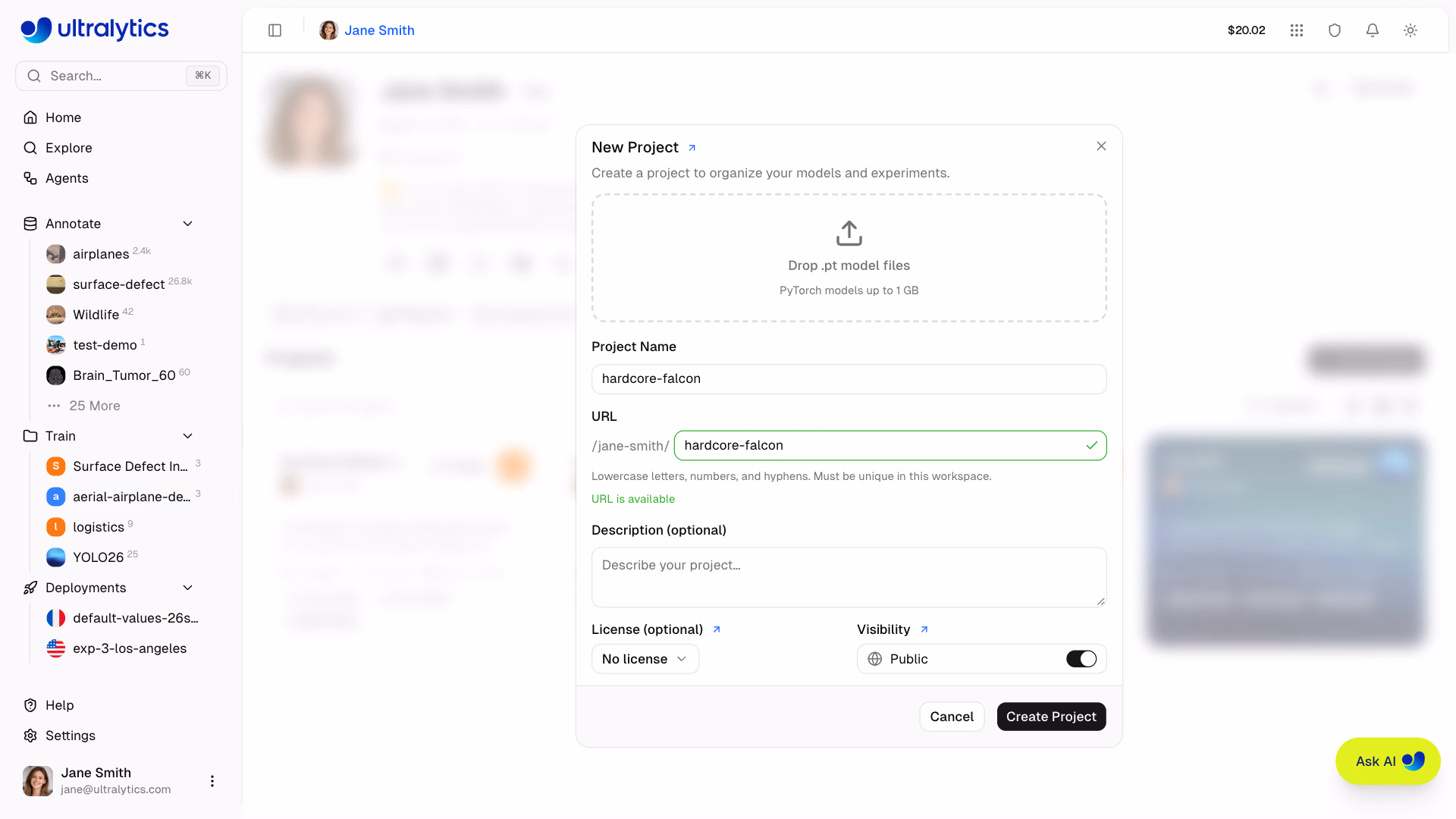 Ultralytics Platform New Project Dialog Name Visibility License