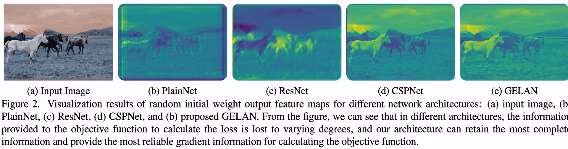 Diagram of how GELAN improves YOLOv9 accuracy