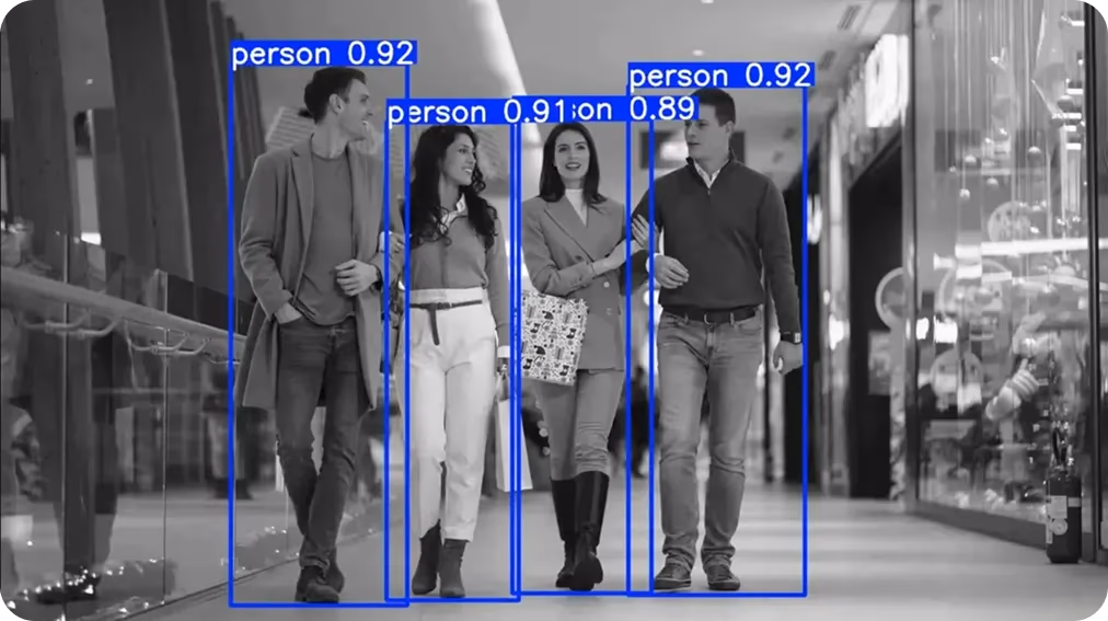 Un ejemplo de detección de objetos, con objetos identificados mediante cuadros delimitadores
