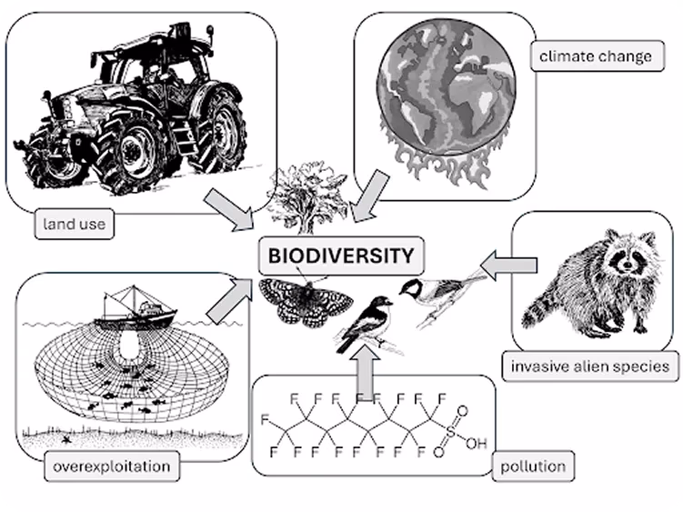 影响生物多样性的因素概览