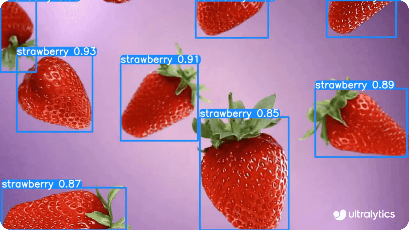 Ultralytics YOLOv8 bei der Erkennung von Erdbeeren