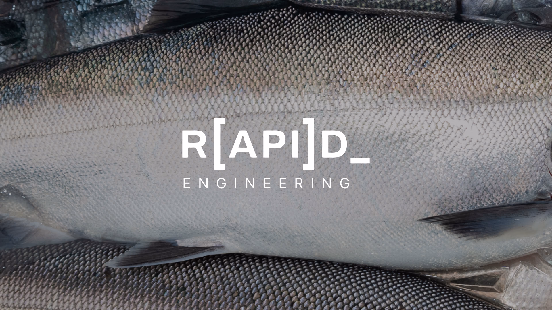RapiD Engineering deploys seafood quality control 1 week faster with Ultralytics YOLO