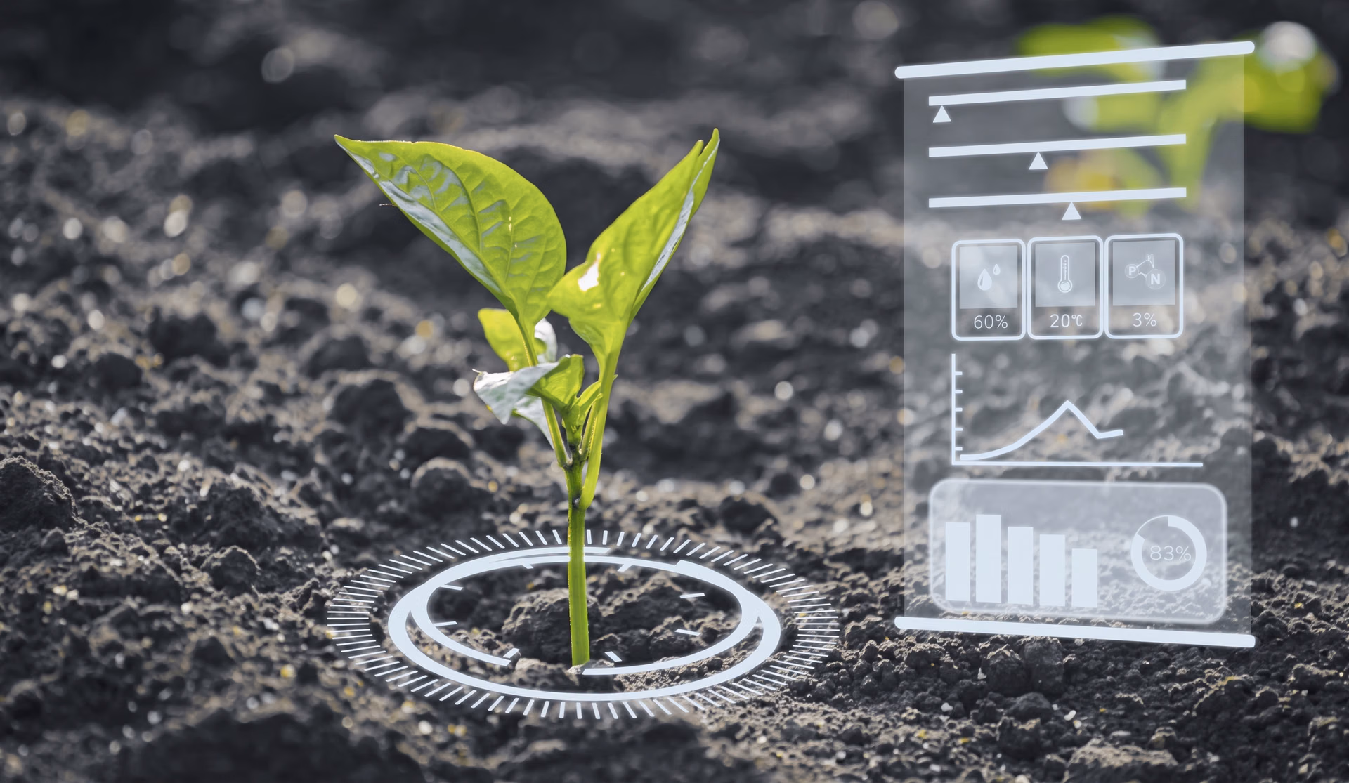 AI in soil monitoring