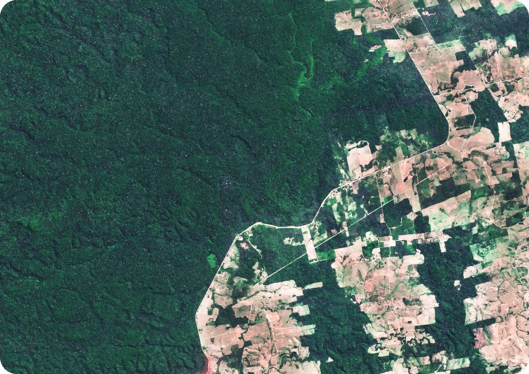 Immagini satellitari che mostrano sia una foresta che una città