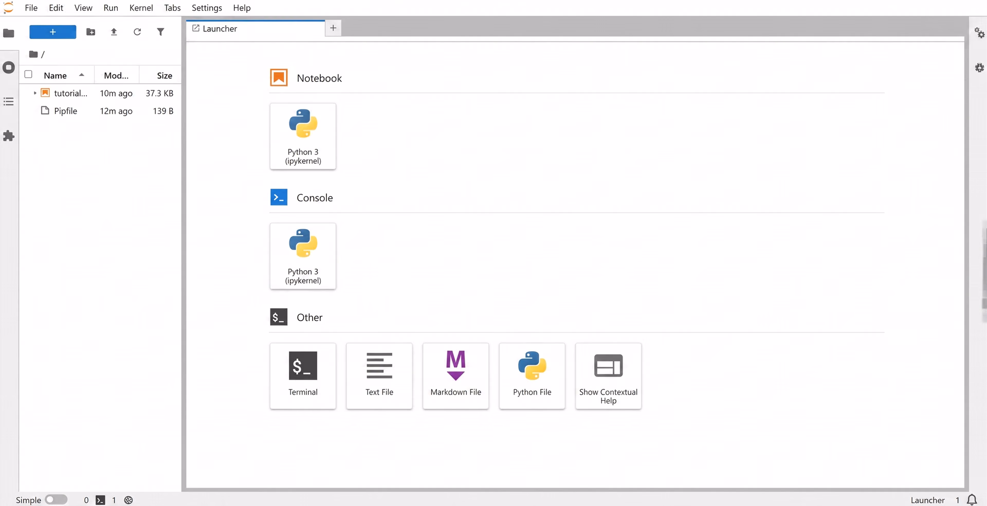 JupyterLab's initial startup page