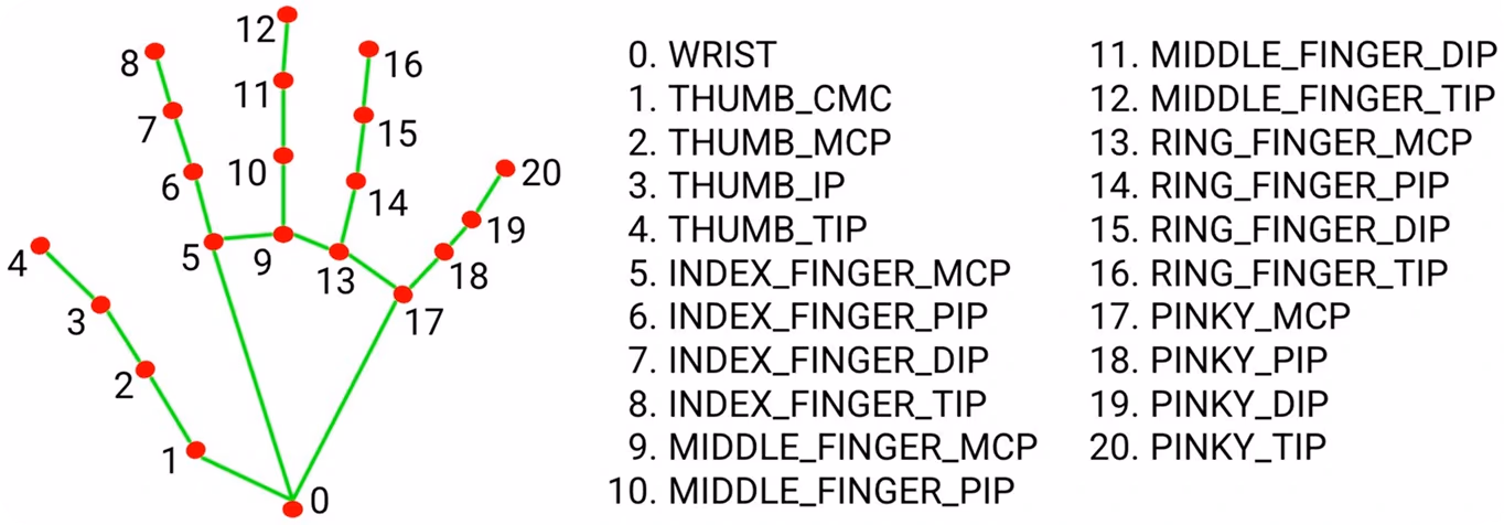 Hand Keypoints 데이터셋에 포함된 21개의 키포인트
