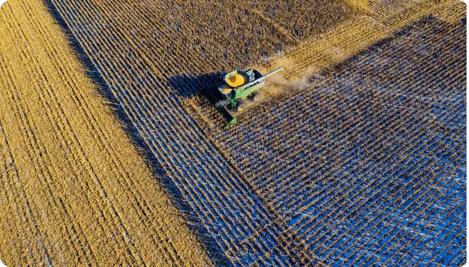 L'IA transforme l'agriculture de précision et la gestion des cultures
