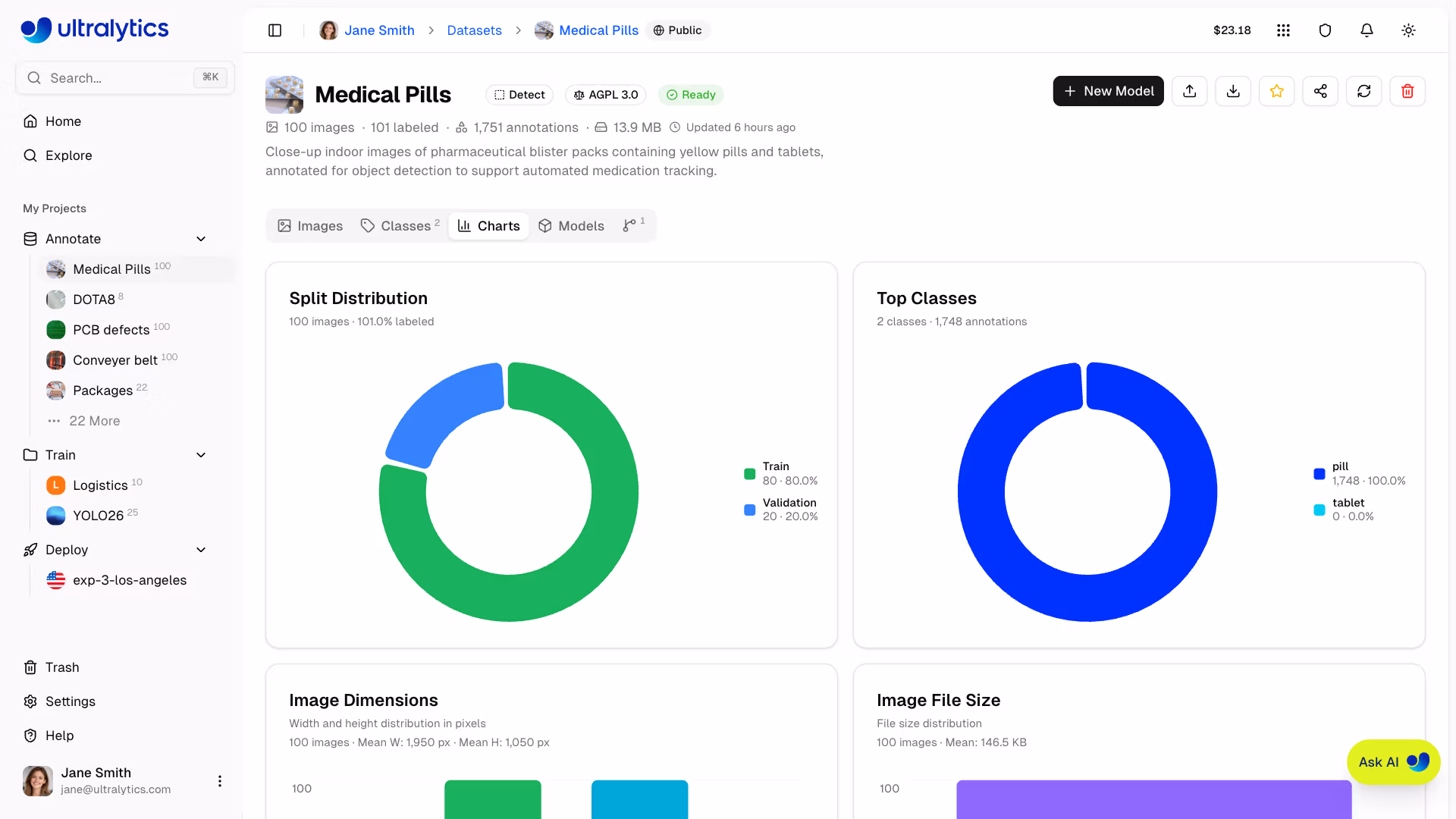Ultralytics Platform Datasets Charts Tab Statistics Grid