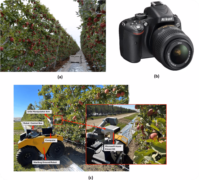 Configuración de visión artificial monitorizando un huerto de manzanas con una cámara de profundidad