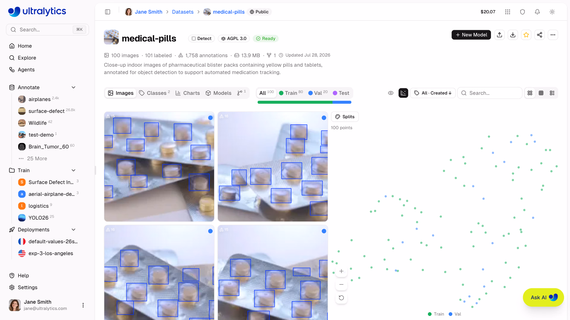 Ultralytics Platform Datasets Clustering Scatter Plot