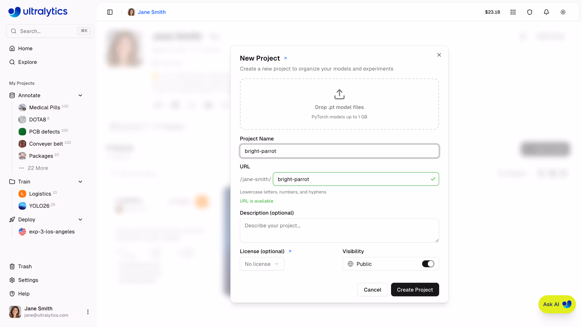 Ultralytics Platform New Project Dialog Name Visibility License