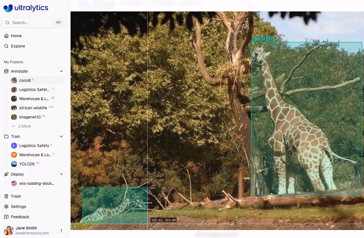 Object detection annotation using bounding boxes on the Ultralytics Platform